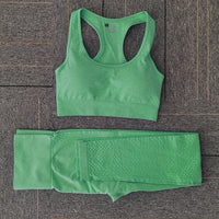 Seamless Yoga Set Women Fitness Sport Suits GYM Set Sportswear Shirts High Waist Running Girl Leggings Workout Pants Female Bras