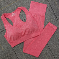 Seamless Yoga Set Women Fitness Sport Suits GYM Set Sportswear Shirts High Waist Running Girl Leggings Workout Pants Female Bras