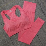 Seamless Yoga Set Women Fitness Sport Suits GYM Set Sportswear Shirts High Waist Running Girl Leggings Workout Pants Female Bras