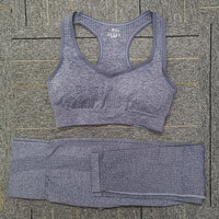 Seamless Yoga Set Women Fitness Sport Suits GYM Set Sportswear Shirts High Waist Running Girl Leggings Workout Pants Female Bras