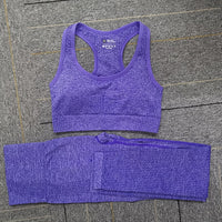 Seamless Yoga Set Women Fitness Sport Suits GYM Set Sportswear Shirts High Waist Running Girl Leggings Workout Pants Female Bras