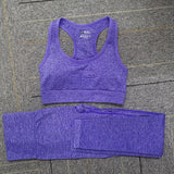 Seamless Yoga Set Women Fitness Sport Suits GYM Set Sportswear Shirts High Waist Running Girl Leggings Workout Pants Female Bras