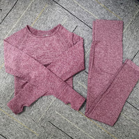Seamless Yoga Set Women Fitness Sport Suits GYM Set Sportswear Shirts High Waist Running Girl Leggings Workout Pants Female Bras