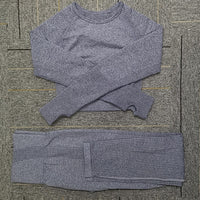 Seamless Yoga Set Women Fitness Sport Suits GYM Set Sportswear Shirts High Waist Running Girl Leggings Workout Pants Female Bras