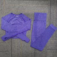 Seamless Yoga Set Women Fitness Sport Suits GYM Set Sportswear Shirts High Waist Running Girl Leggings Workout Pants Female Bras