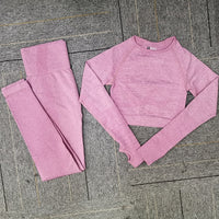 Seamless Yoga Set Women Fitness Sport Suits GYM Set Sportswear Shirts High Waist Running Girl Leggings Workout Pants Female Bras