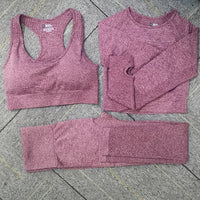 Seamless Yoga Set Women Fitness Sport Suits GYM Set Sportswear Shirts High Waist Running Girl Leggings Workout Pants Female Bras