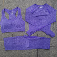 Seamless Yoga Set Women Fitness Sport Suits GYM Set Sportswear Shirts High Waist Running Girl Leggings Workout Pants Female Bras